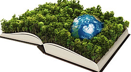 Timeline: Historia de la Ecología