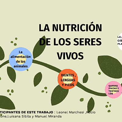 Timeline: Historia de la nutrición
