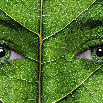 Timeline: Historia de la Ecología