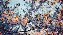 Timeline: Antecedentes de los Derechos Humanos