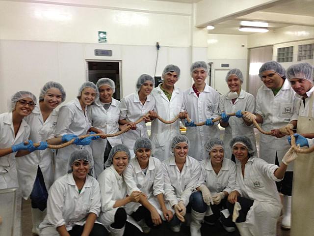 Curso de producto cárnico