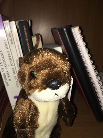 La llegada de Chiro Chiro