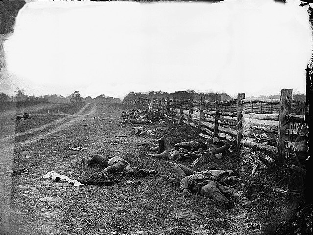 Dead of Antietam