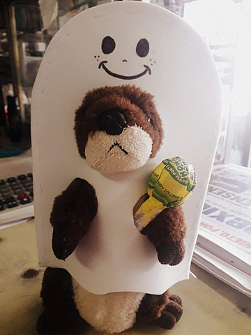 Primer Halloween de Rosa, Carlos y Chiro Chiro