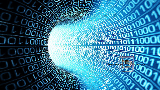 Consolidación de una Nueva Disciplina