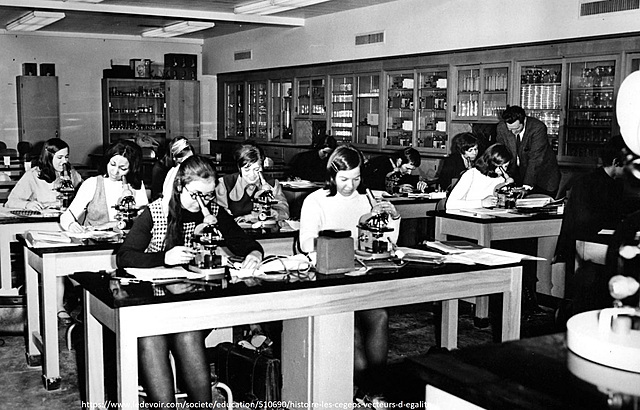 Loi sur les collèges d’enseignement général et professionnel (CÉGEP)