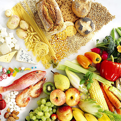 Timeline: historia de la nutrición en los seres vivos