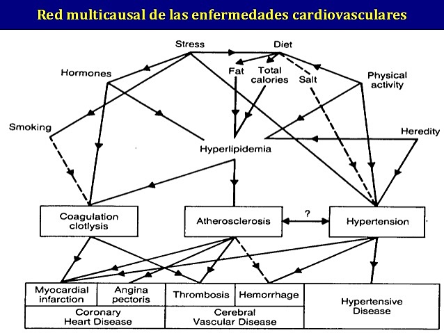 Modelo de la red de causalidad.