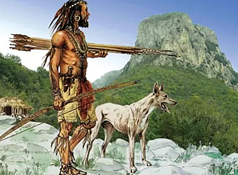 Domesticación de animales