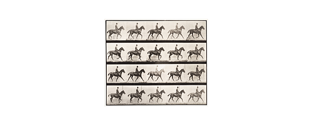 Eadweard Muybridge Animal Locamotion