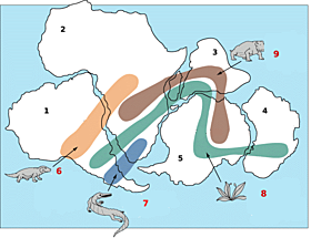 Fanerozoico-Paleozoico-Pérmico