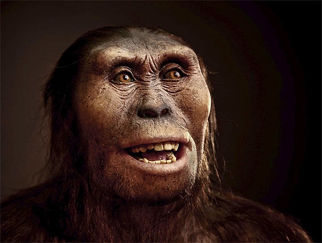 aparece el australopithecus una nueva especie en la tierra