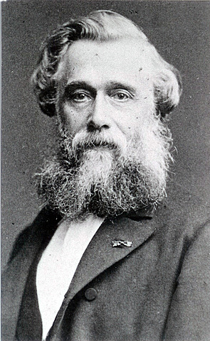 1897 dieta  nativa de arroz