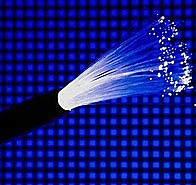 Fibra optica