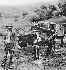 California Gold Rush