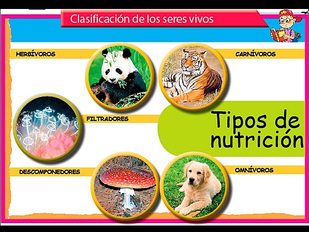 2011 tipos de nutrición