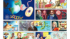 Timeline: Historia de la Biología