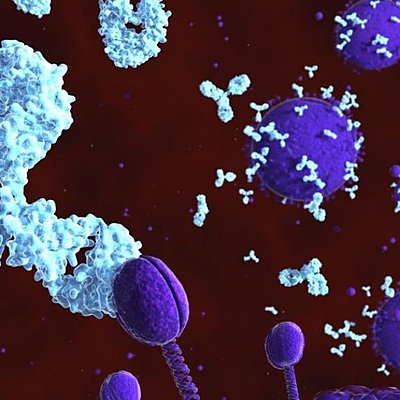 Timeline: RESPUESTA INMUNE Aseret De la Torre