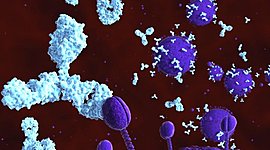 Timeline: RESPUESTA INMUNE Aseret De la Torre