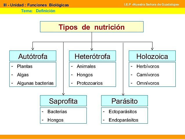 Tipos de nutrición 2011