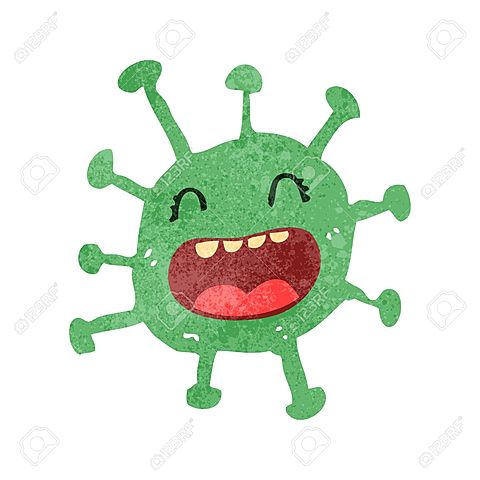 LA INFECCIÓN ES ELIMINADA