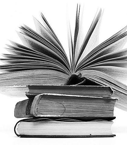 Etapas Metodológicas