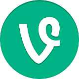 Vine