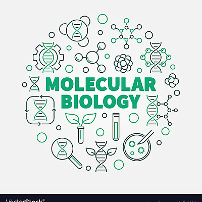 Timeline: Contextualización de la biología molecular (1869-1953)