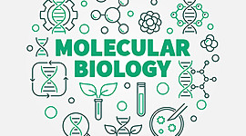 Timeline: Contextualización de la biología molecular (1869-1953)