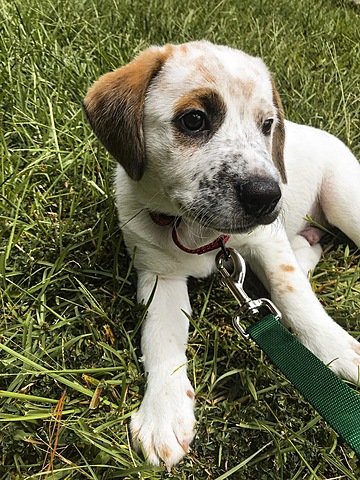 The Best Birthday Present