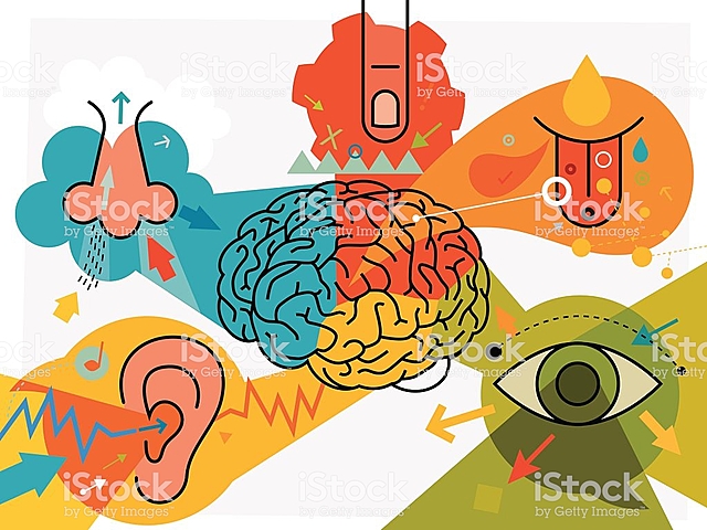 Creación, Publicaciones, Inducir