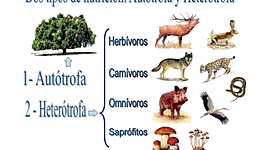 Timeline: HISTORIA DE LA NUTRICION