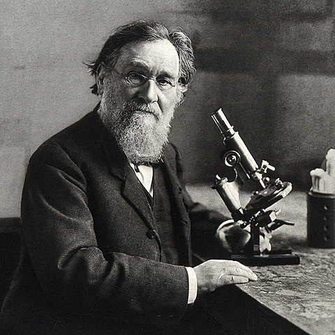 Elie o Iliá Metchnikoff.