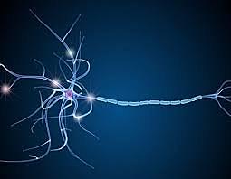 Primer medicamento recombinante.