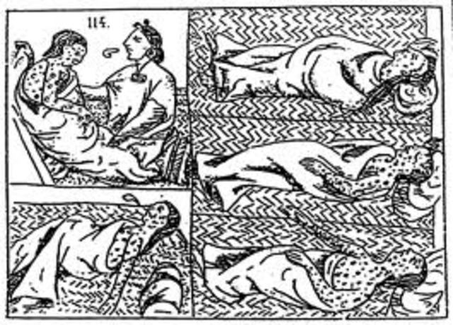 The Aztecs begin to die from smallpox