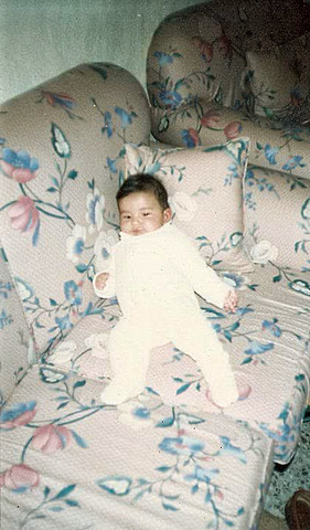 Aristóteles elaboró la primera clasifican de los seres vivos