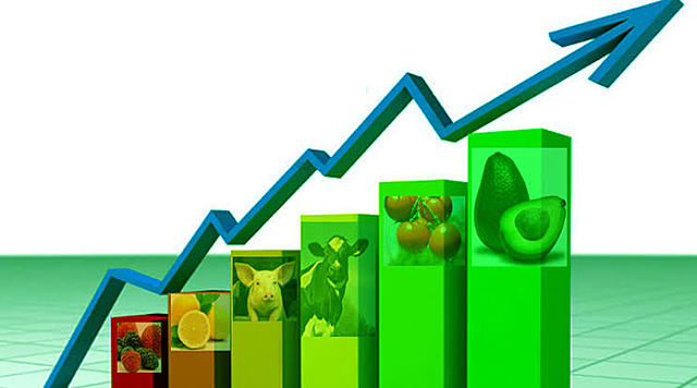 Valor de la producción