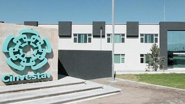 Maíz tolerante a la sequía y heladas.