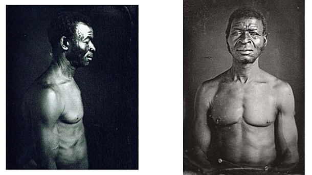 Jack Zealy (J.T) Photographs