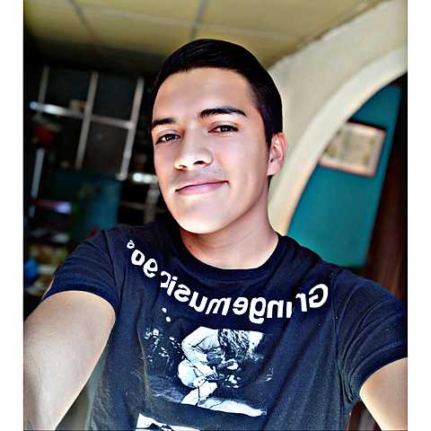 Vocación en progreso...