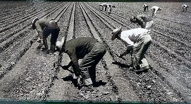 El inicio del Proyecto Bracero.