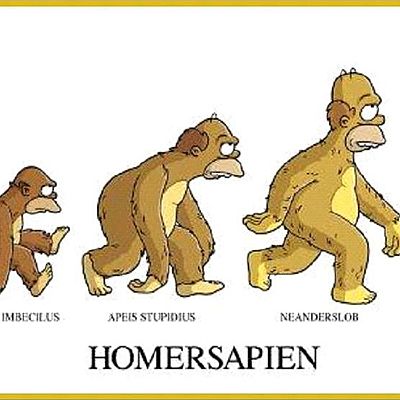 Timeline: Evolución Siglo XIII - Siglo XVIII