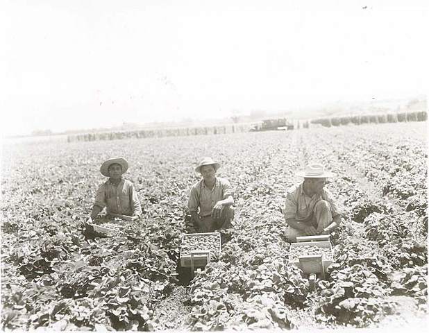 Clausura de Campamentos de Braceros