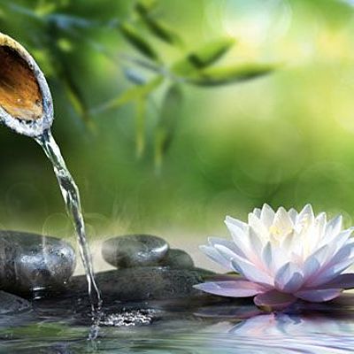 Timeline: Terapias Naturales