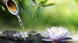 Timeline: Terapias Naturales