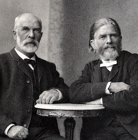 Ley de acción de masas (primeros artículos)