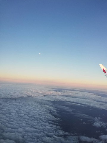 Viajé en avión por primera vez