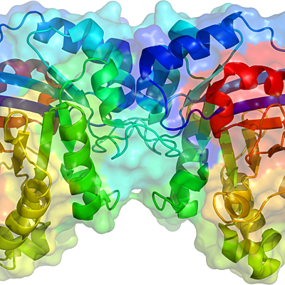 Timeline: HISTORIA DE LA ENZIMOLOGÍA