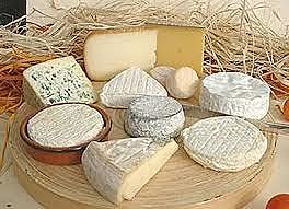 Comienza la fabricación del queso.