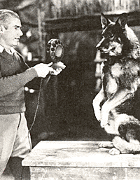 Creacion del cine sonoro